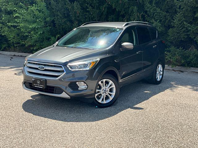 Photo of 2019 Magnetic Ford Escape