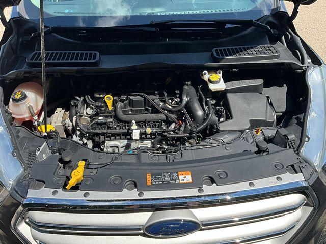 Photo of 2019 Magnetic Ford Escape