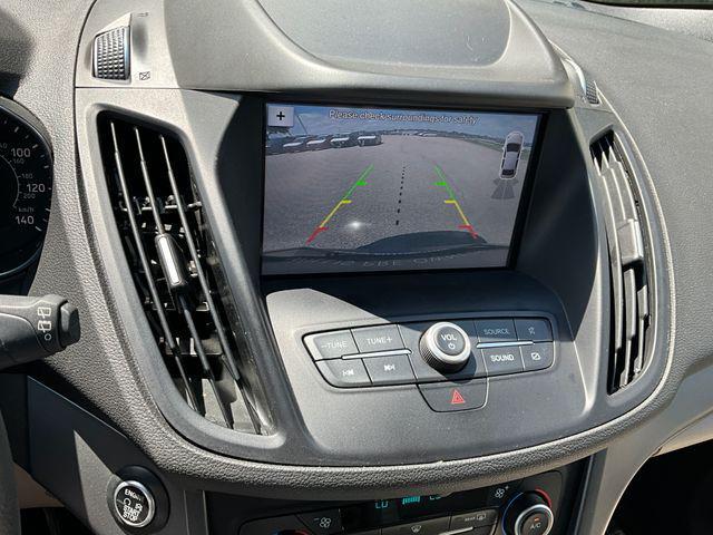 Photo of 2019 Magnetic Ford Escape