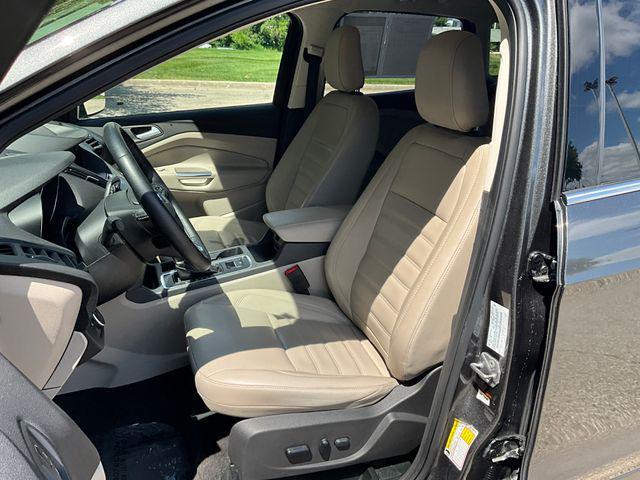 Photo of 2019 Magnetic Ford Escape