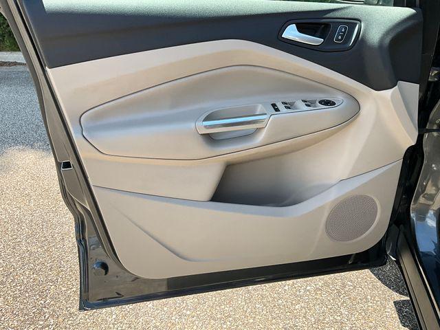Photo of 2019 Magnetic Ford Escape