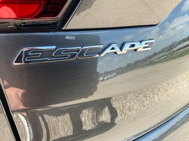 Photo of 2019 Magnetic Ford Escape