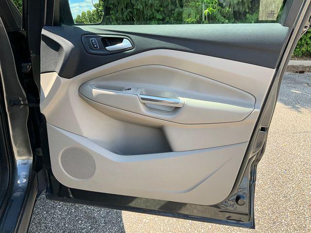 Photo of 2019 Magnetic Ford Escape