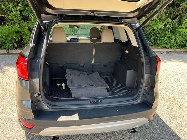 Photo of 2019 Magnetic Ford Escape
