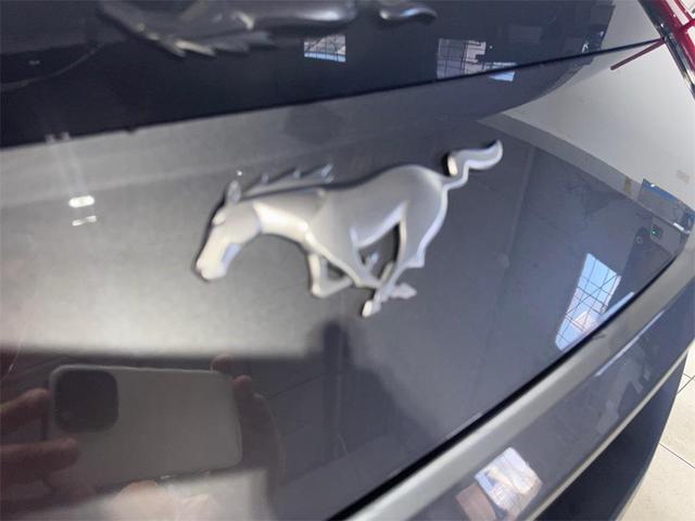 Photo of 2024 Gray Metallic Ford Mustang