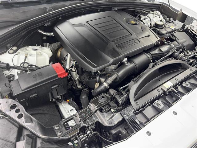 Photo of 2024 White Jaguar F-PACE