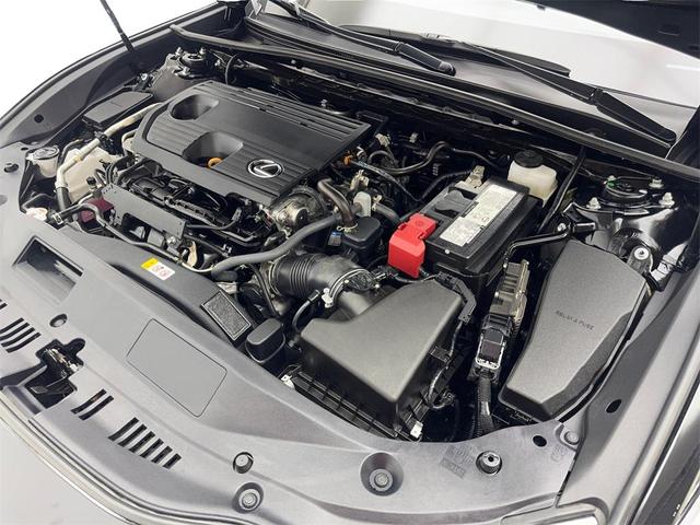 Photo of 2024 Black Lexus ES 250