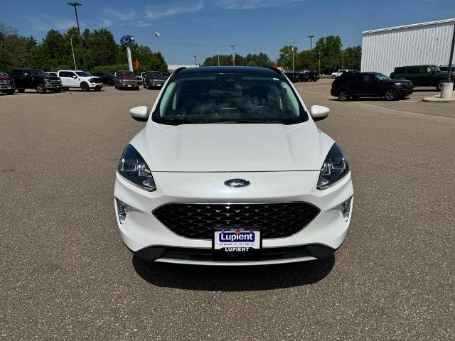 Photo of 2022 STAR WHITE METALLIC TRI-COA Ford Escape