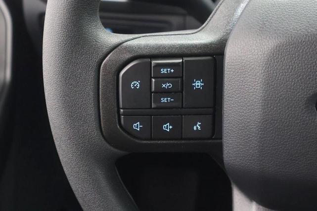 Photo of 2025 Agate Black Metallic Ford F-150