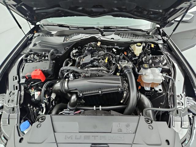 Photo of 2024 Gray Ford Mustang