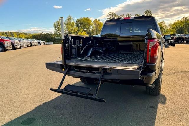 Photo of 2025 Black Ford F-150