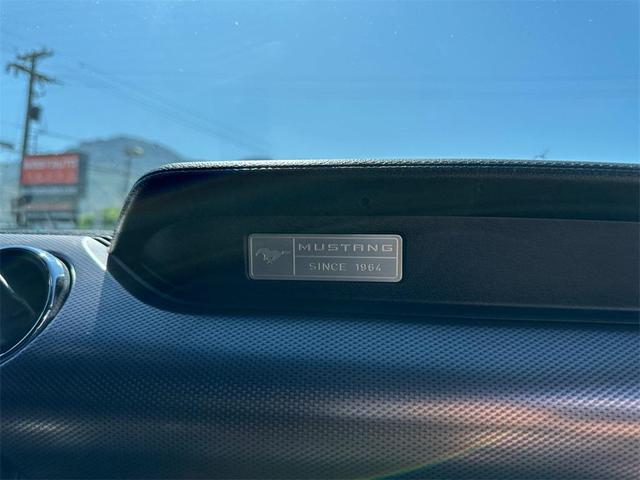 Photo of 2017 Ingot Silver Ford Mustang