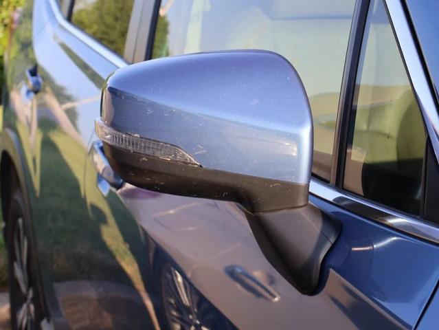 Photo of 2019 Horizon Blue Pearl Subaru Forester
