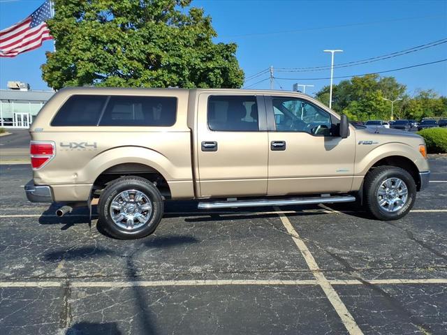 Photo of 2012 Pale Adobe Metallic Ford F-150