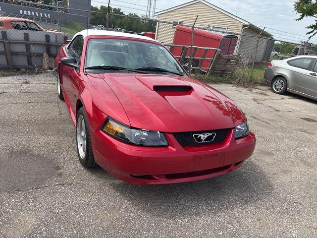 Photo of 2002 Torch Red Clearcoat Ford Mustang