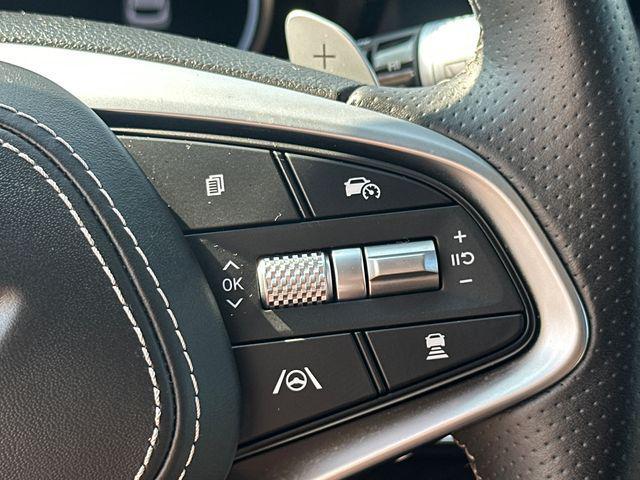 Photo of 2024 Vik Black Genesis GV70