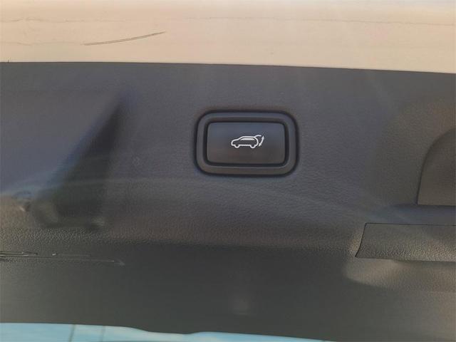 Photo of 2021 Hyper White Hyundai PALISADE