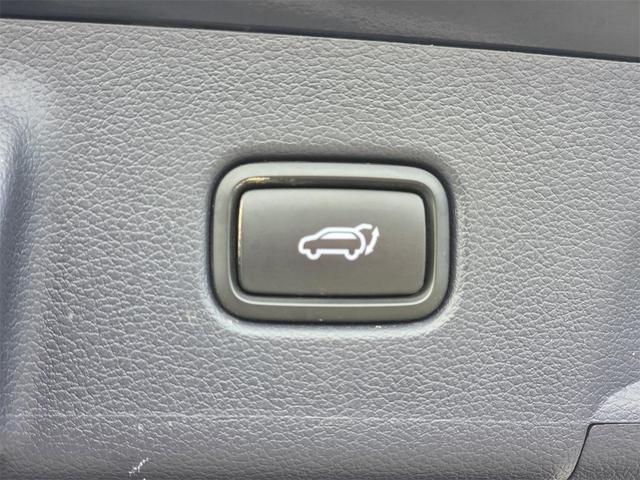 Photo of 2024 Moonlight Cloud Hyundai PALISADE
