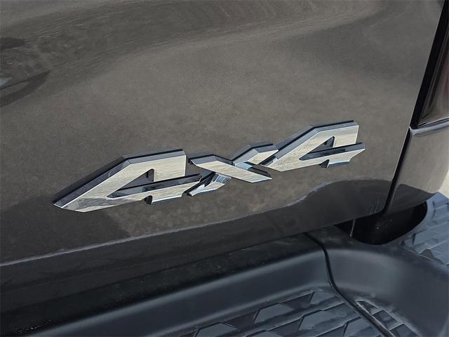 Photo of 2025 Granite Crystal Clearcoat Metallic RAM 2500