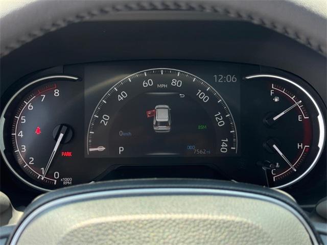 Photo of 2024 Ice Toyota RAV4