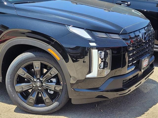 Photo of 2025 Abyss Black Pearl Hyundai PALISADE