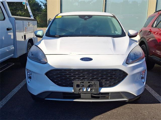 Photo of 2022 Oxford White Ford Escape
