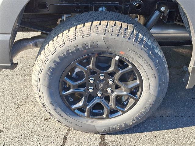 Photo of 2025 Carbonized Gray Metallic Ford F-150