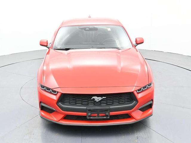 Photo of 2024 Race Red Ford Mustang