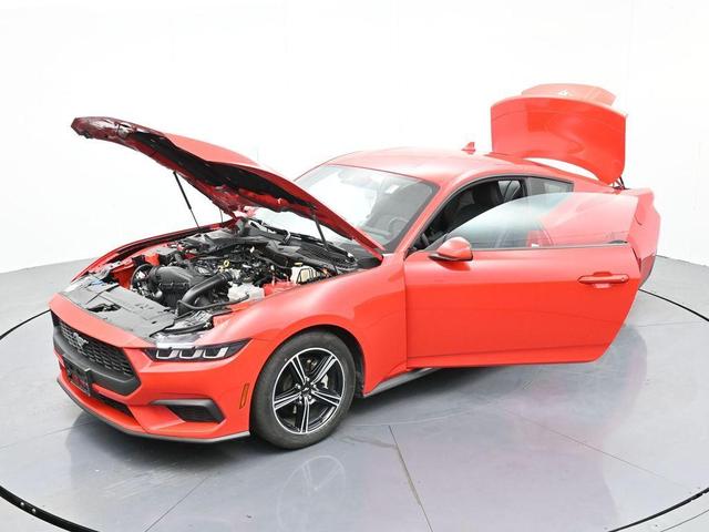 Photo of 2024 Race Red Ford Mustang