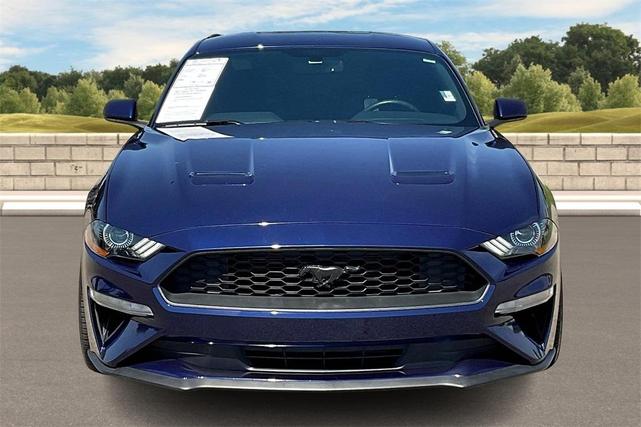Photo of 2019 Kona Blue Ford Mustang