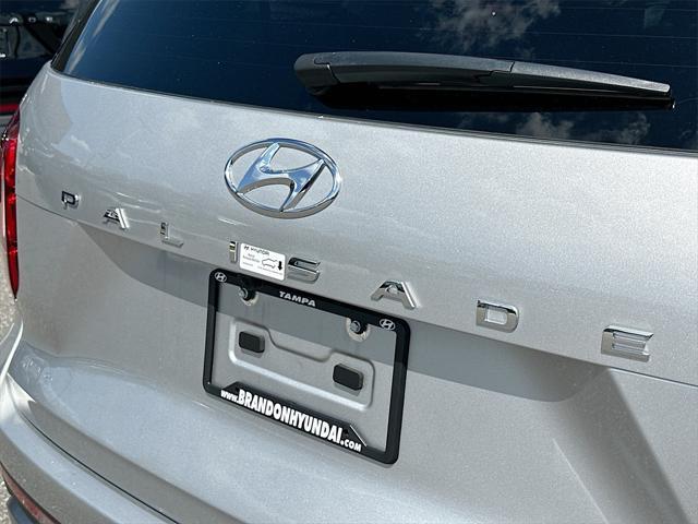 Photo of 2025 Typhoon Silver Hyundai PALISADE