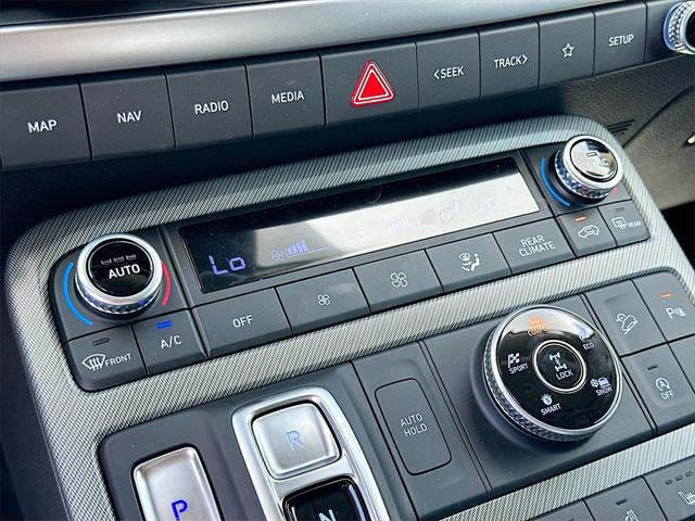 Photo of 2025 Typhoon Silver Hyundai PALISADE