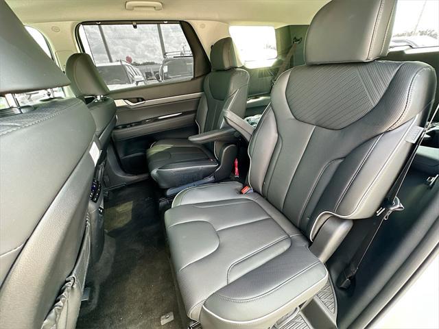 Photo of 2025 Typhoon Silver Hyundai PALISADE