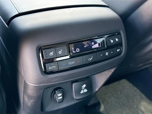 Photo of 2025 Typhoon Silver Hyundai PALISADE