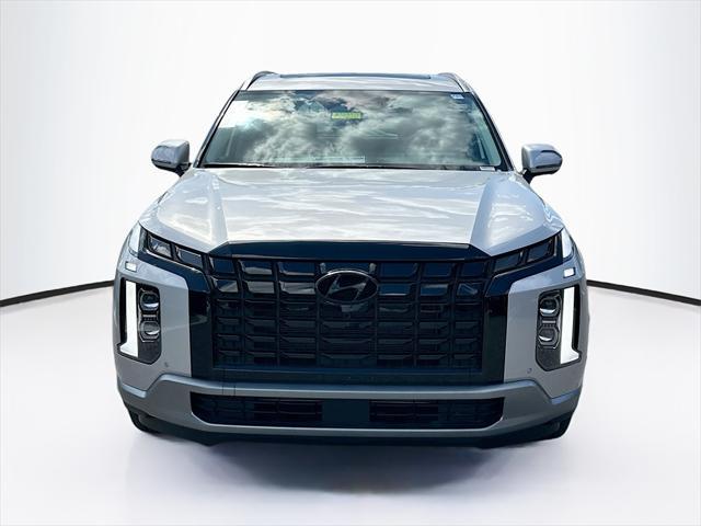 Photo of 2025 Typhoon Silver Hyundai PALISADE