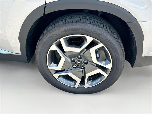 Photo of 2025 Typhoon Silver Hyundai PALISADE