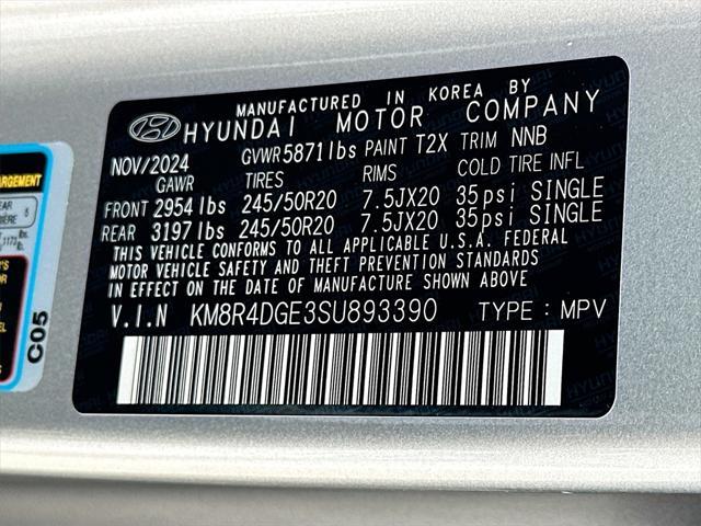 Photo of 2025 Typhoon Silver Hyundai PALISADE