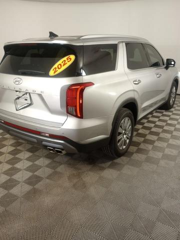 Photo of 2025 Typhoon Silver Hyundai PALISADE