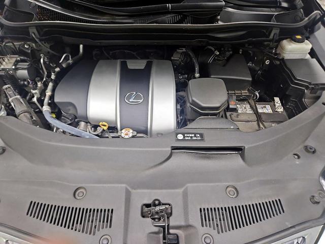 Photo of 2022 Green Lexus RX 350