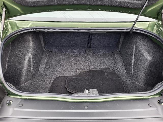 Photo of 2023 F8 Green Dodge Challenger