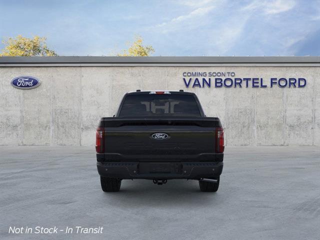 Photo of 2025 Agate Black Ford F-150