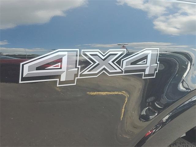 Photo of 2025 Black Ford F-150
