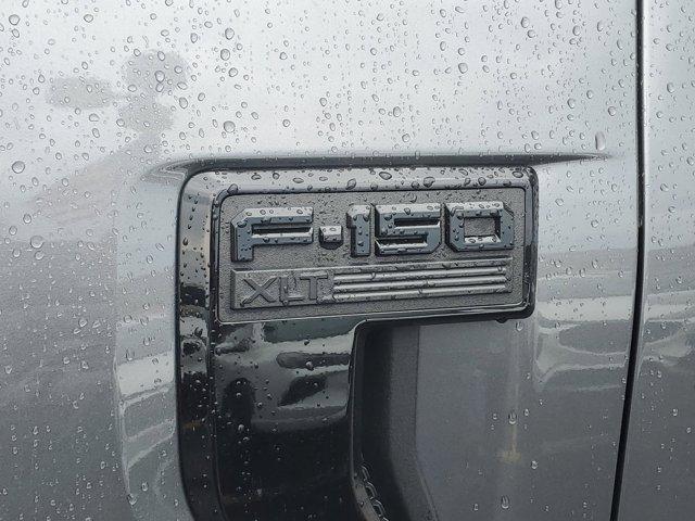 Photo of 2025 Gray Ford F-150