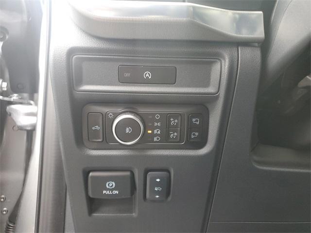 Photo of 2025 Silver Ford F-150