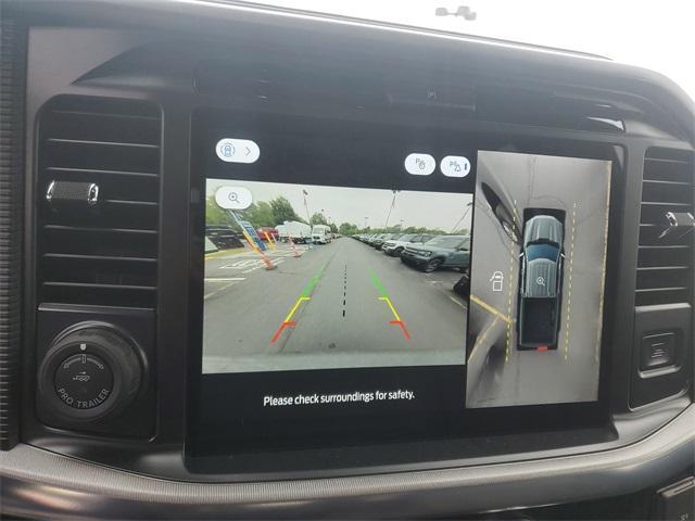 Photo of 2025 Silver Ford F-150