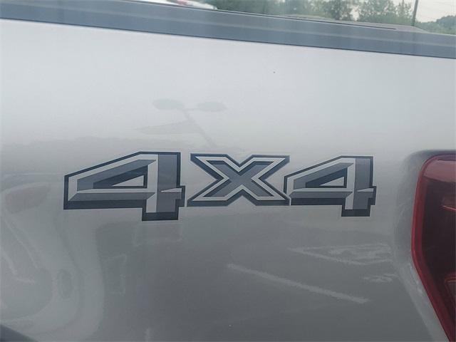 Photo of 2025 Silver Ford F-150