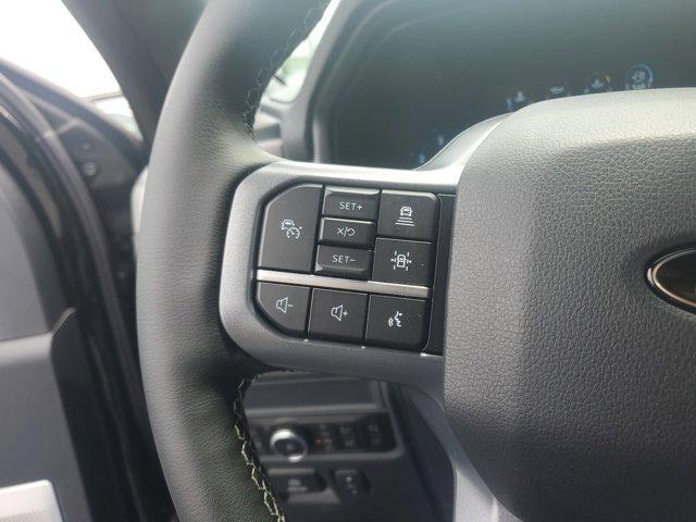 Photo of 2025 Black Metallic Ford F-150