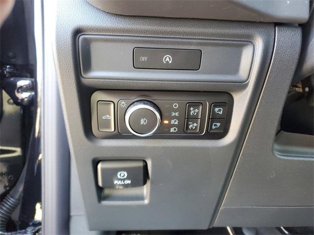 Photo of 2025 Black Metallic Ford F-150