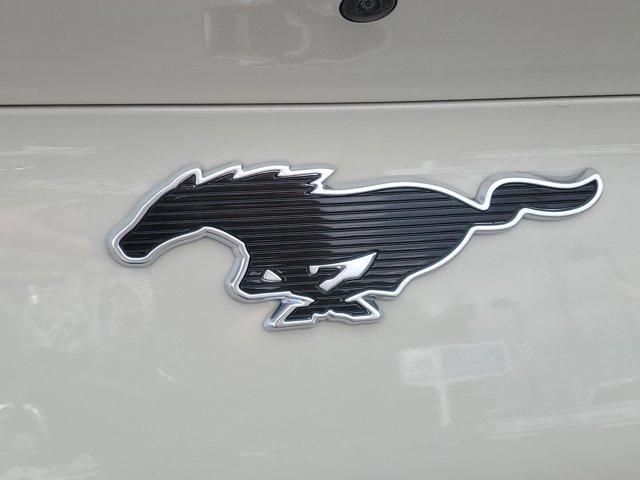 Photo of 2025 Desert Sand Ford Mustang Mach-E
