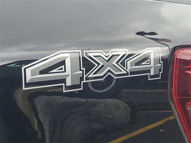 Photo of 2025 Black Metallic Ford F-150